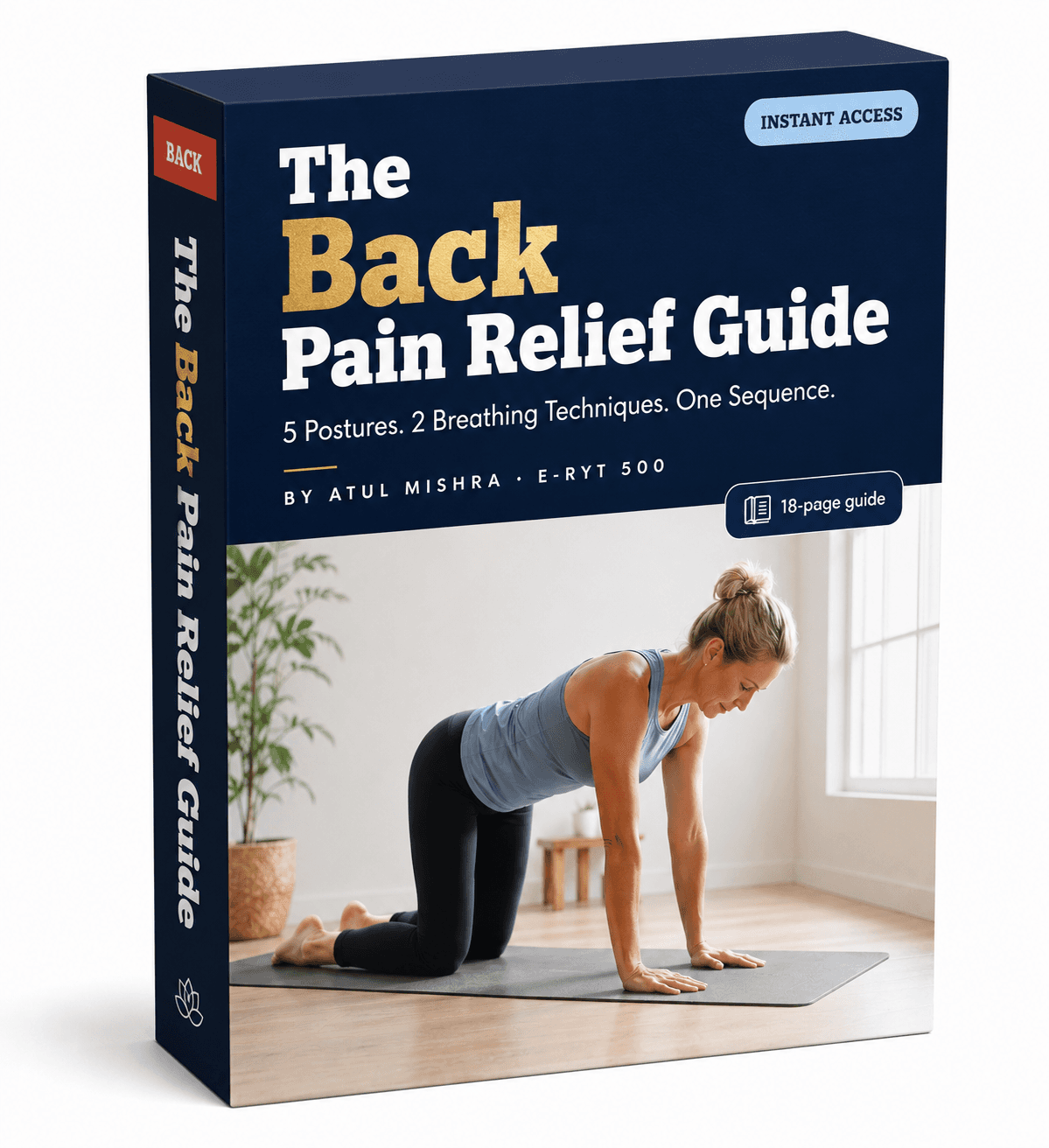 The Back Pain Relief Guide